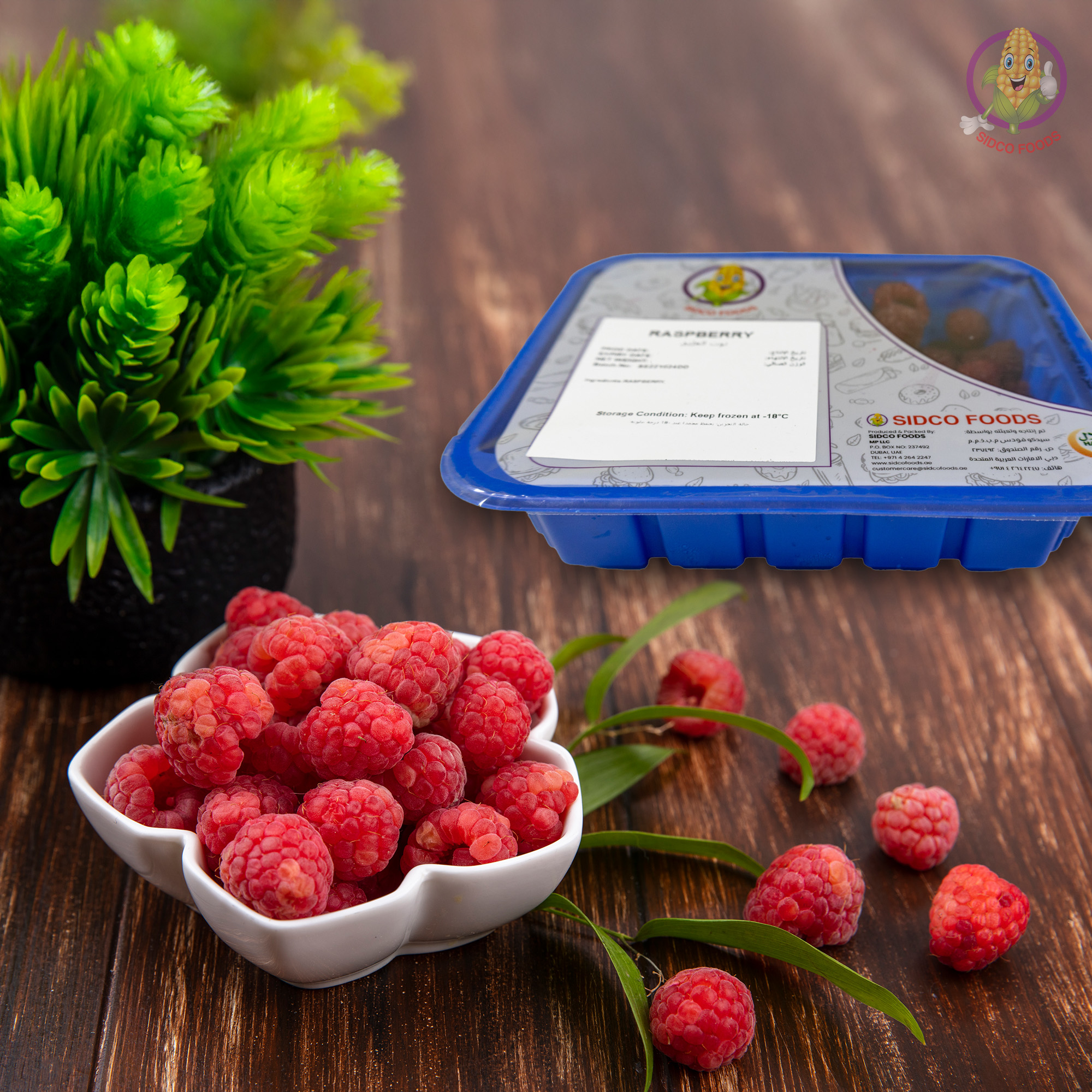 tray-pack-raspberries-1746515389854.jpg Frozen Raspberry 250g - Image 1
