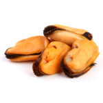 Mussels Meat (500g)