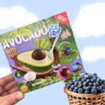Avocado Ice Cream Triple Treat (Blueberry Flavor)